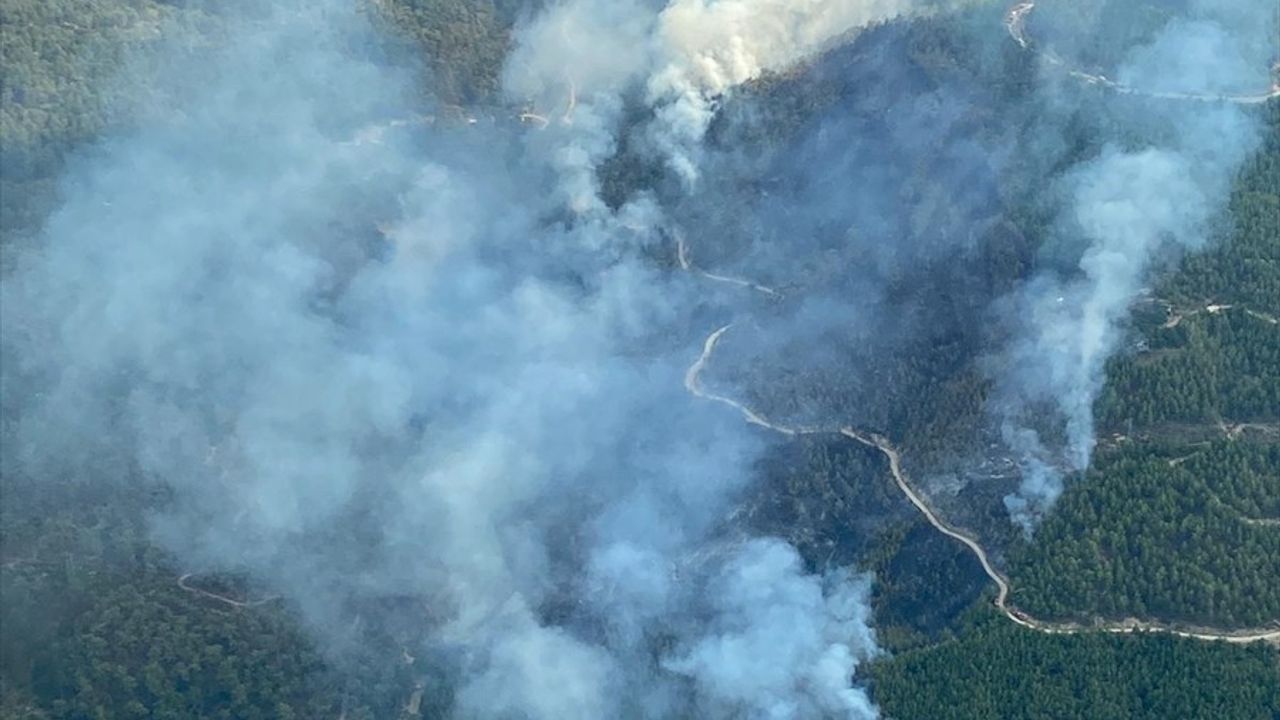 Aydın'ın Çine ilçesindeki orman yangını kontrol altına alındı