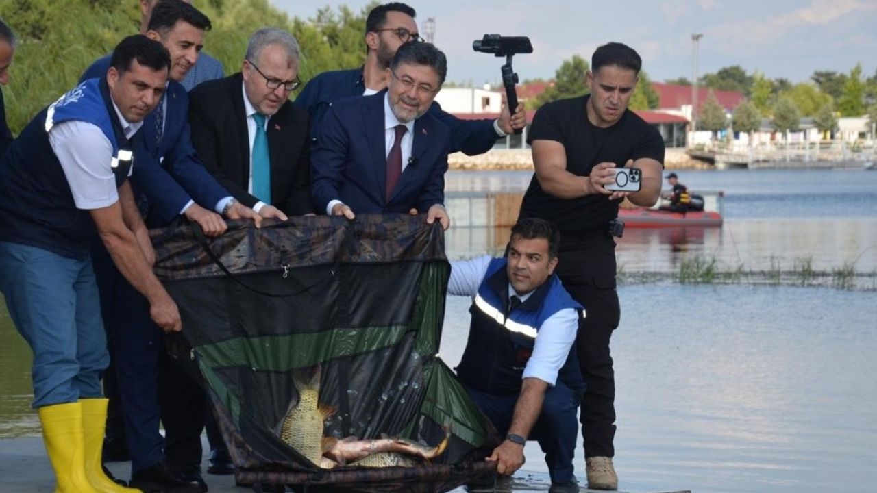 Bakan İbrahim Yumaklı, Bilecek'te bulunan Pelitözü Göleti'ne 200 adet sazan balığı bıraktı