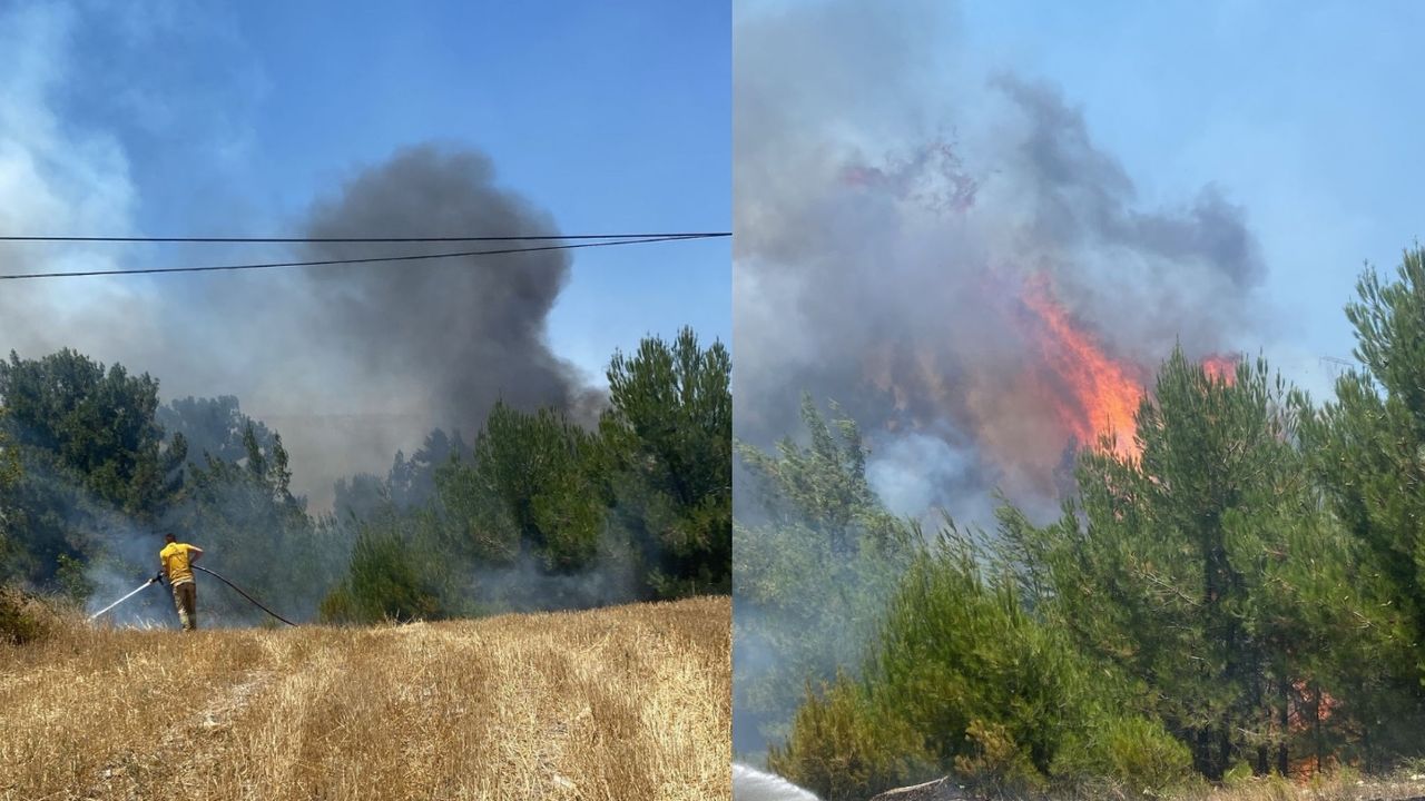Balıkesir Altıeylül’de çıkan orman yangını kontrol altına alındı! 