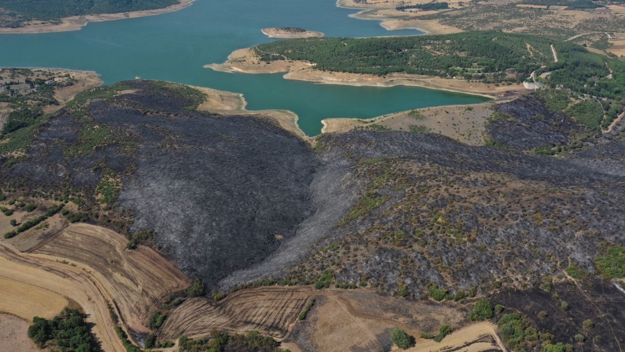 Balıkesir’de çıkan orman yangını kontrol altına alındı 