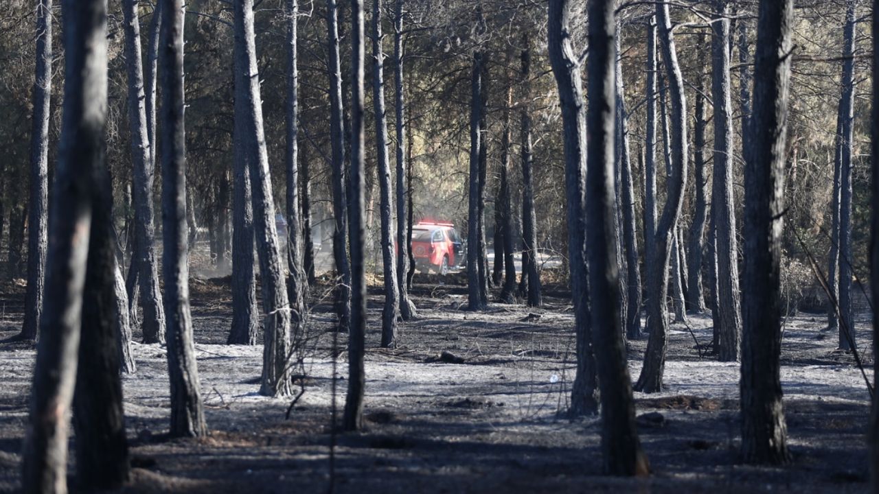 Bursa’da yangın! Makilik alandaki yangın ormanlık alana sıçradı 