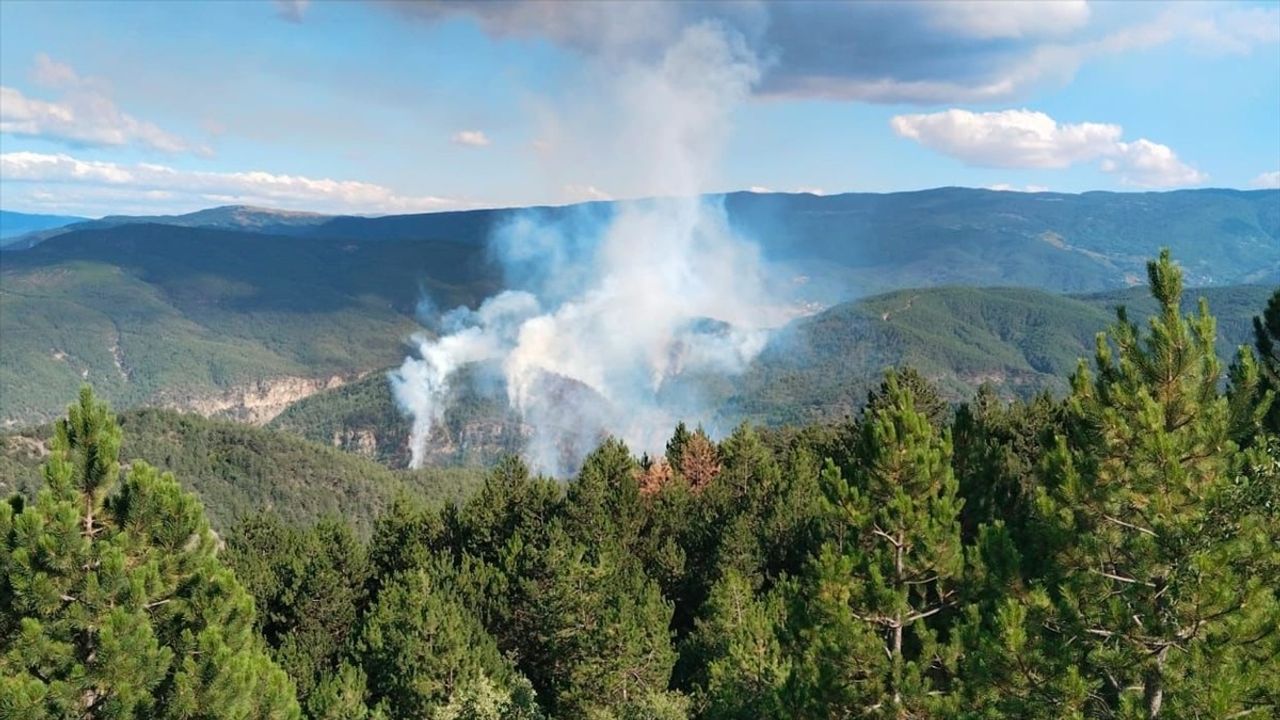 Çankırı'da Orman Yangınına Müdahale Devam Ediyor