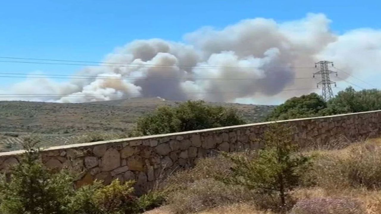 Çeşme'deki orman yangınında 3 can kaybı!