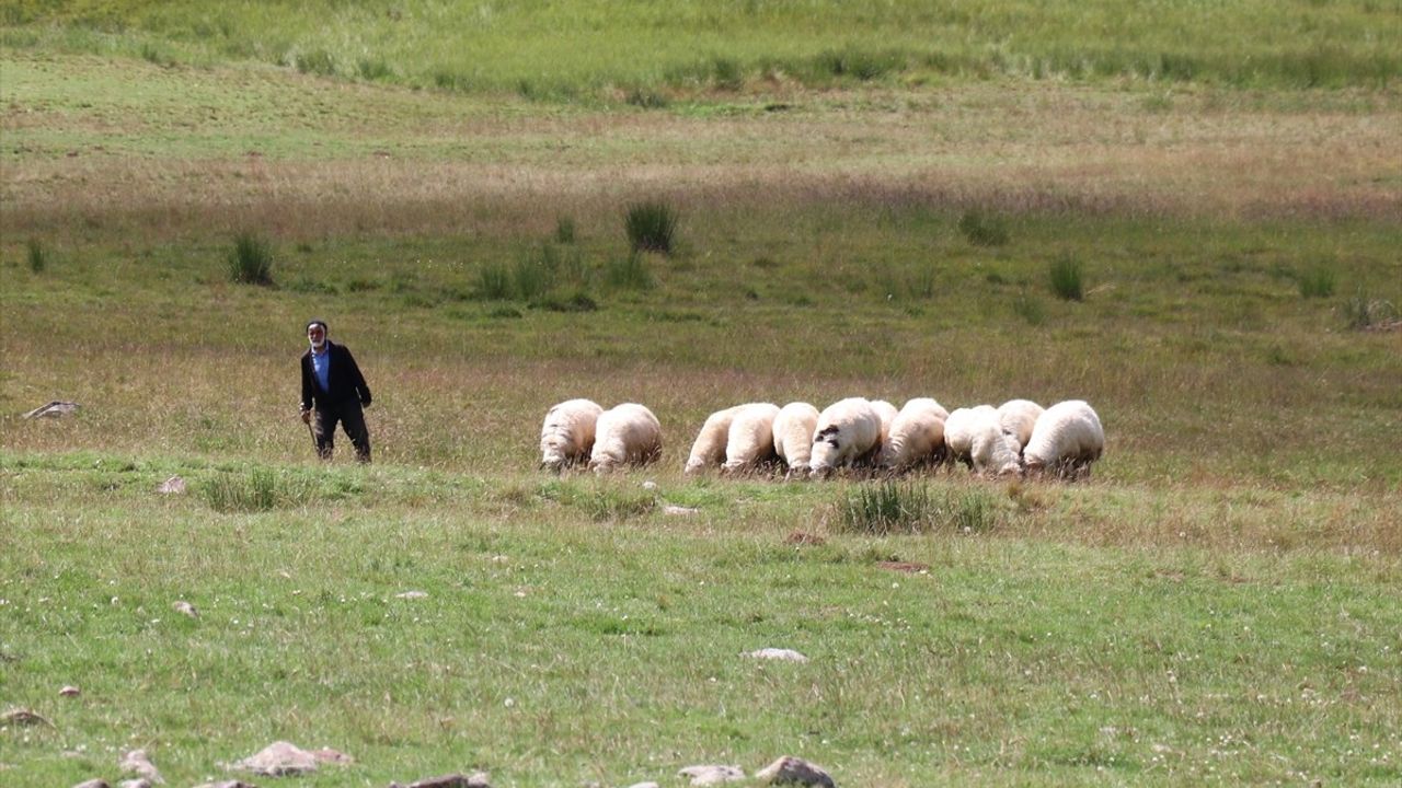 Dumlubaba Yaylası'ndaki Göçerlerin Zorlu Hayatı