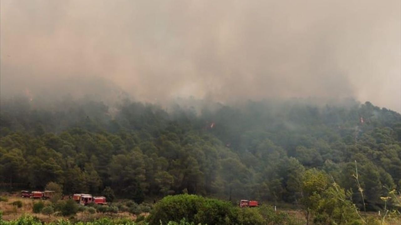 Fransa'nın Güneyinde Orman Yangını: 65 Hektar Kül Oldu