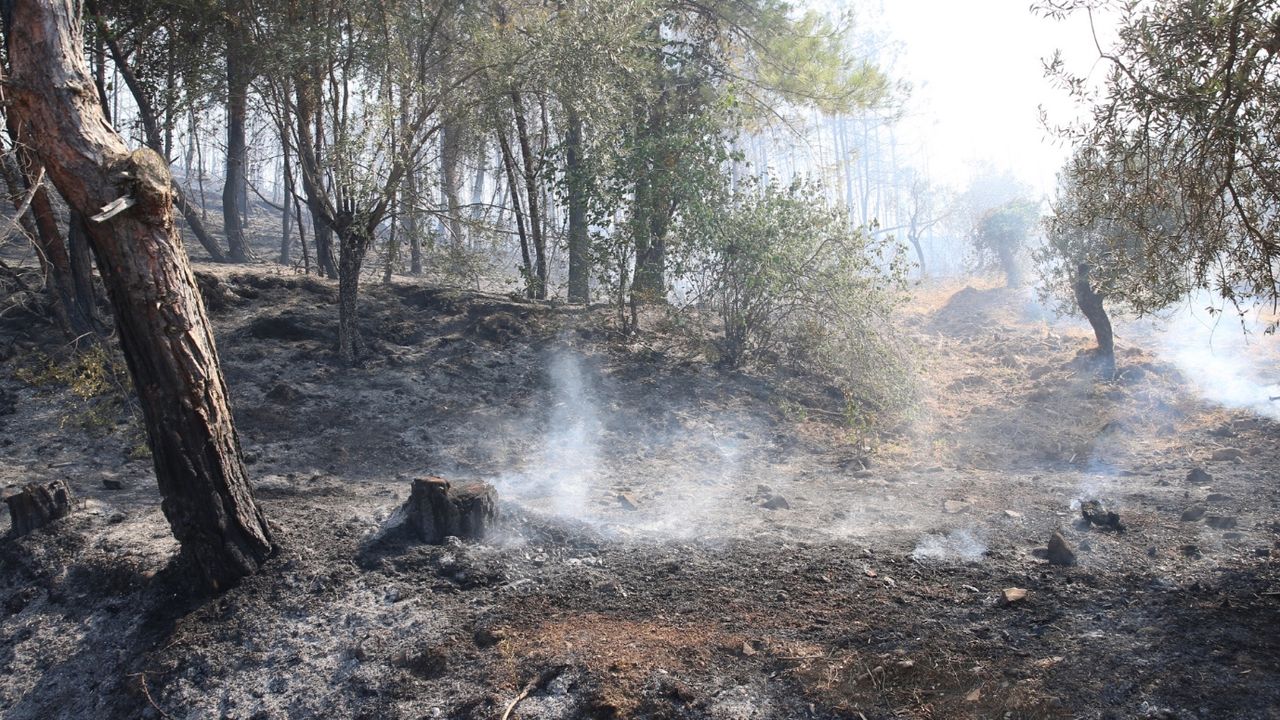 Hatay’da yangın çıktı! Hava ve karadan müdahale ediliyor 