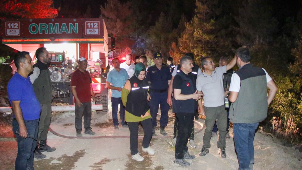 İzmir'de orman yangınlarına müdahale sürüyor 