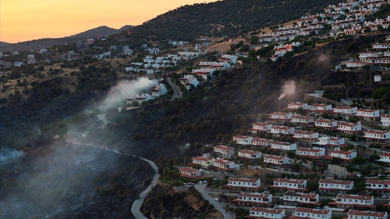 İzmir Dikili'deki Orman Yangınına Müdahale Devam Ediyor