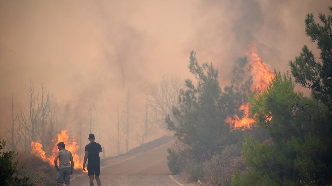 İzmir'in Urla İlçesinde Orman Yangını Söndürülmeye Çalışılıyor