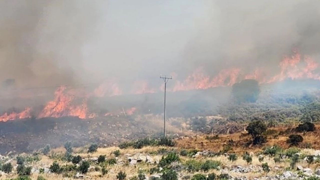 İzmir Ödemiş’te yangın! Ekipler dört koldan müdahale ediyor! 