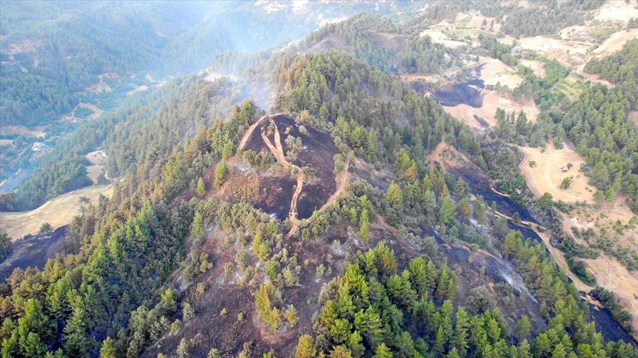 Kahramanmaraş'ta Orman Yangını Kontrol Altına Alındı