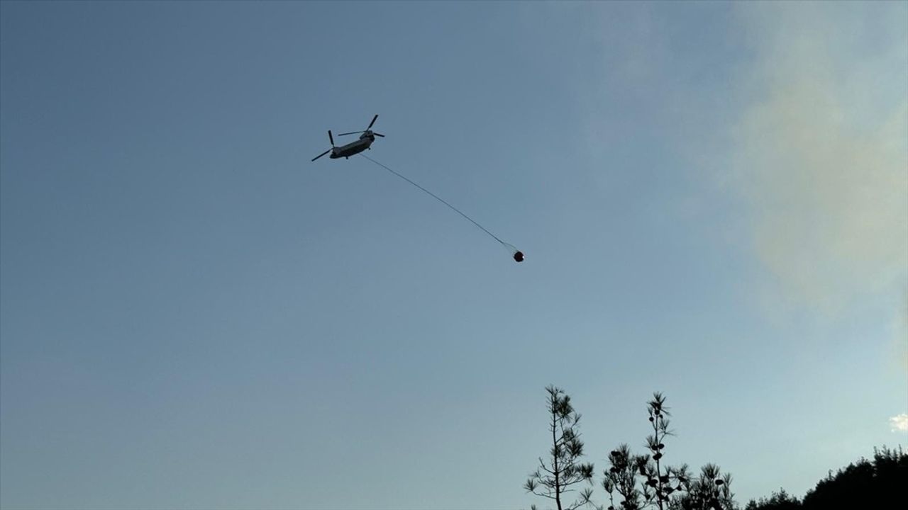 Kahramanmaraş'ta Orman Yangınına Hızlı Müdahale