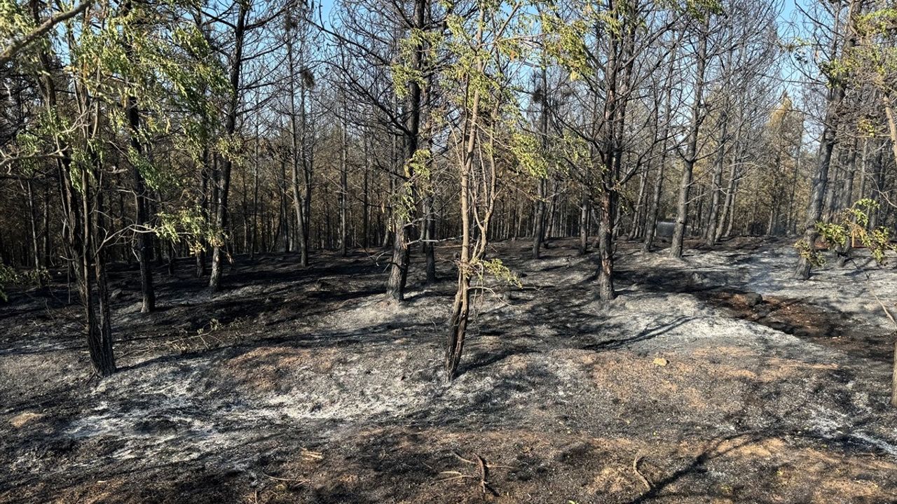 Kastamonu'da Yangın Kontrol Altına Alındı