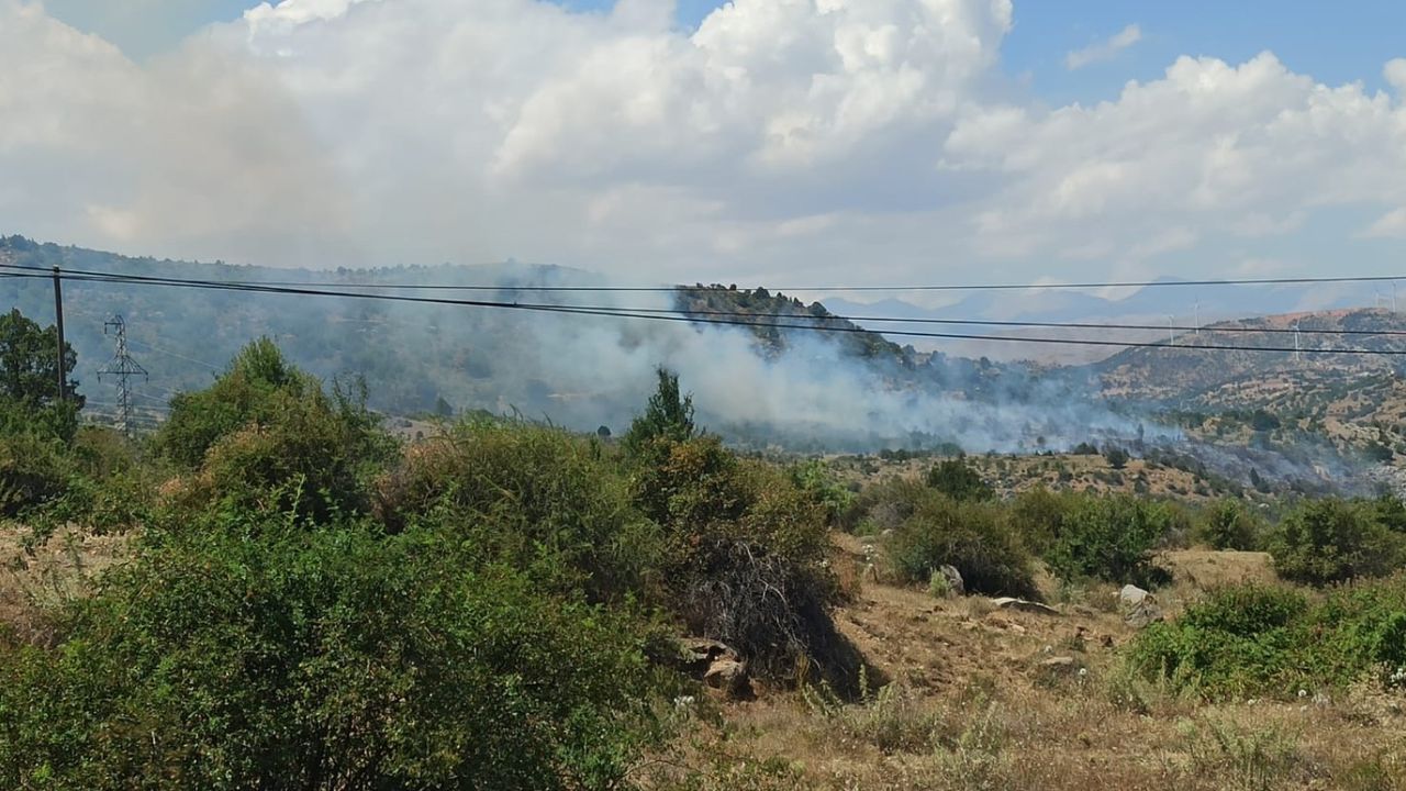 Kayseri’de ormanlık alanda çıkan yangın söndürüldü! 