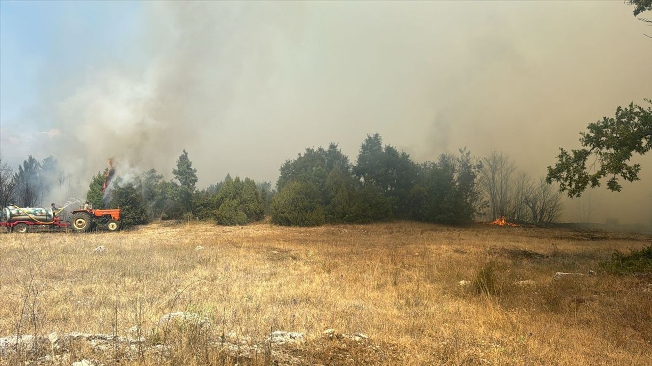 Kütahya'da Orman Yangınına Müdahale Başlatıldı