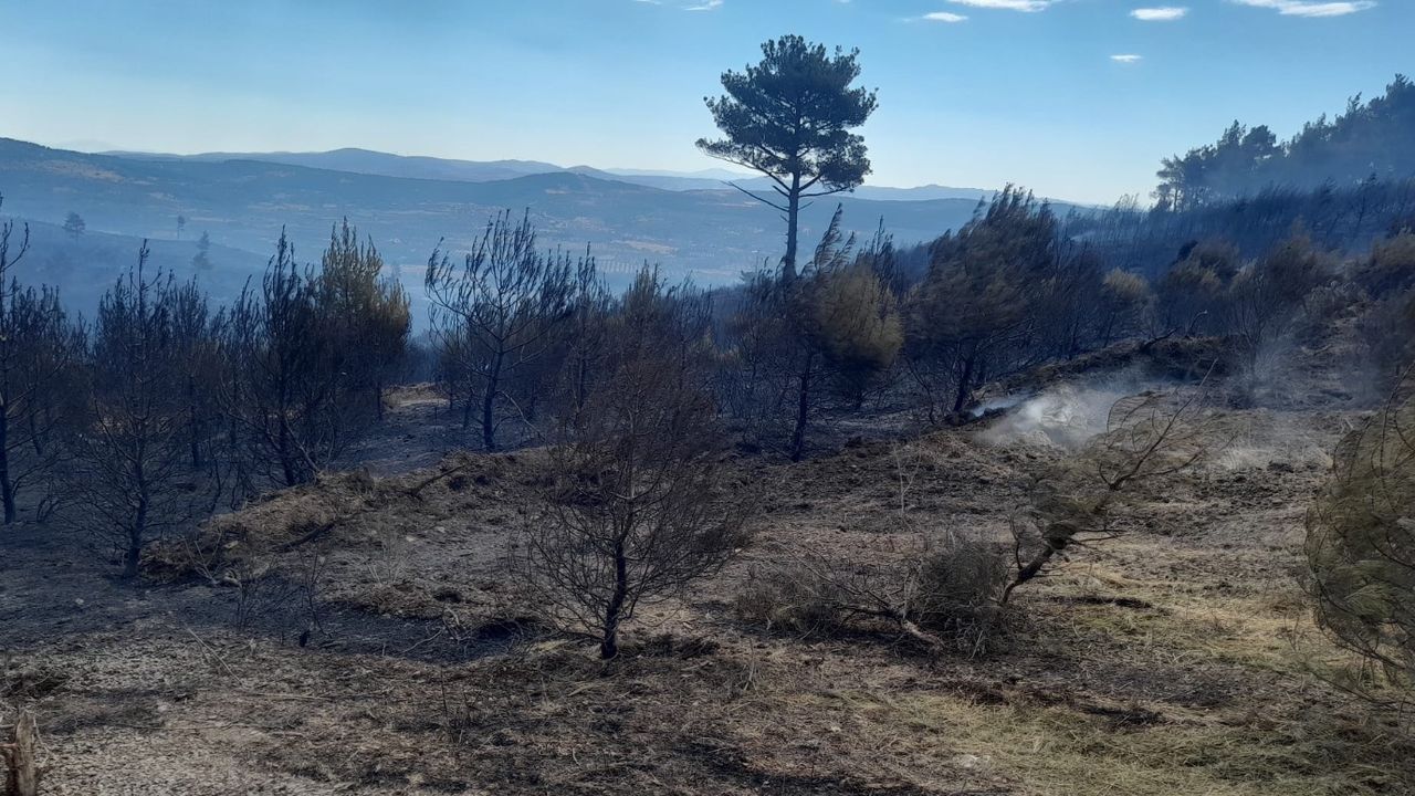 Soma’da çıkan yangın kısmen kontrol altına alındı 