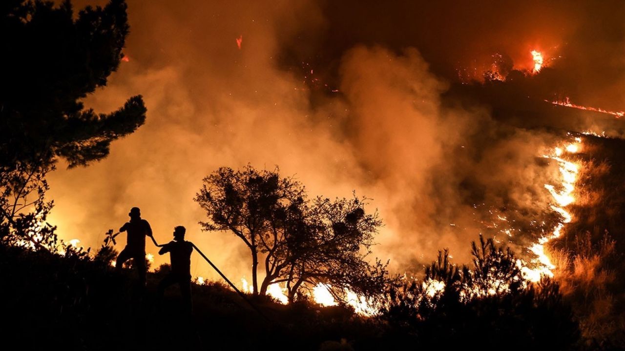 Tarım arazisinde çıkan yangın ormana da sıçradı! 