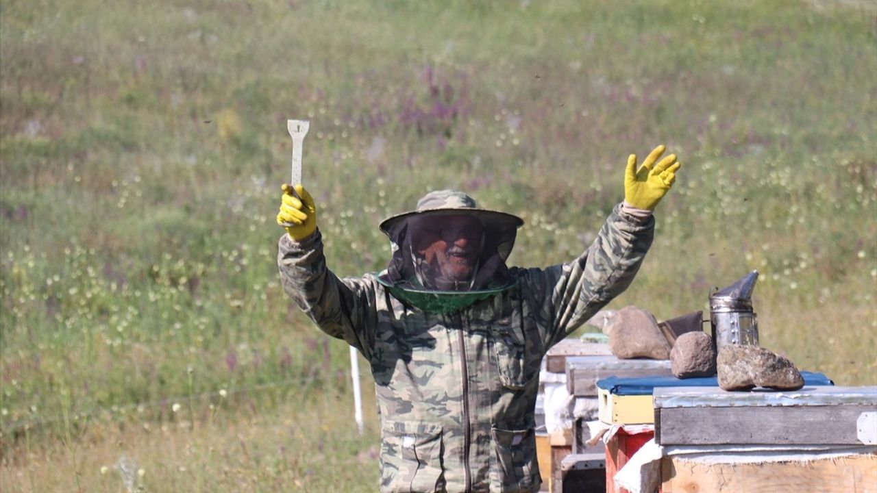 87 Yaşındaki Gezgin Arıcı Ayhan Kan: Sağlığımın Sırrı Arıcılıkta Saklı