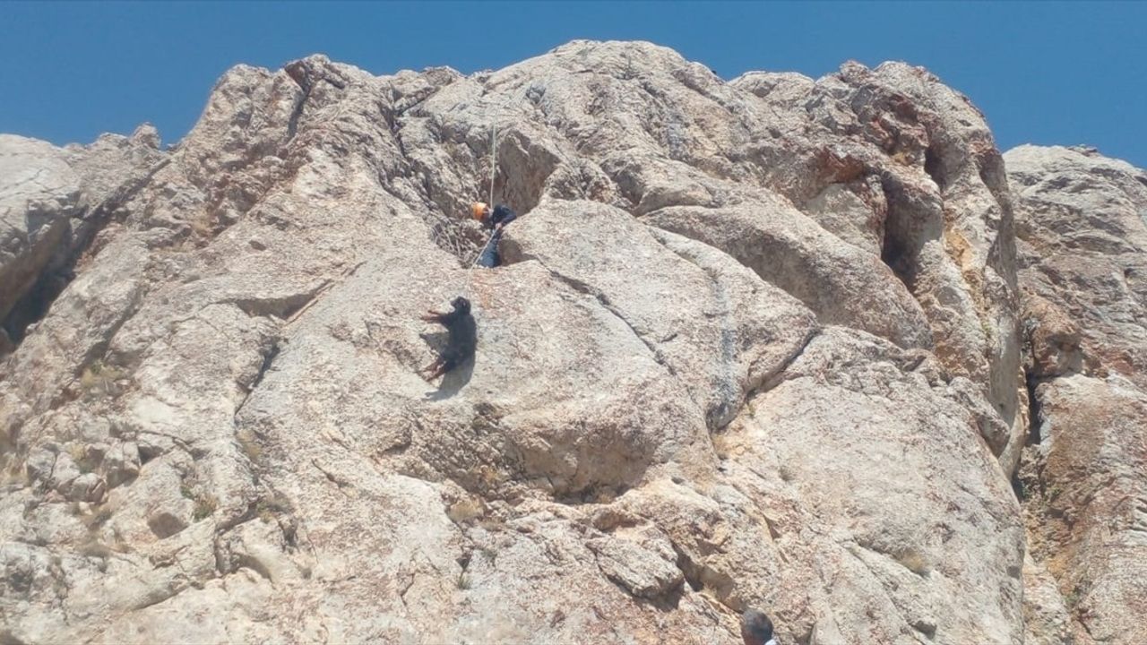 AFAD Ekipleri, Ağrı'da Mahsur Kalan Oğlakları Kurtardı