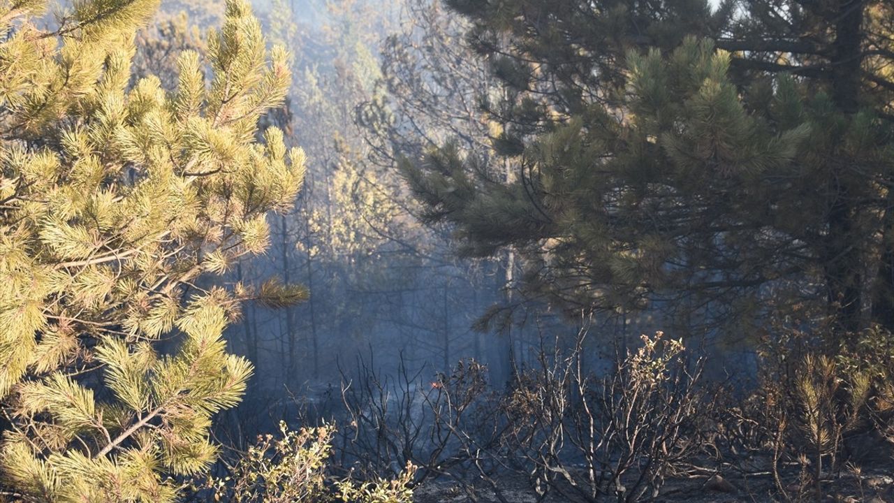Afyonkarahisar'da Orman Yangınına Müdahale Devam Ediyor