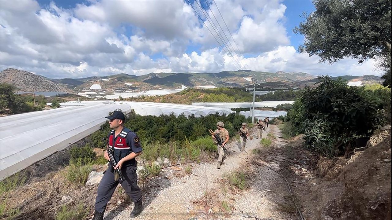 Alanya'da Jandarma Tropikal Meyve Hırsızlığına Karşı Denetim Yapıyor