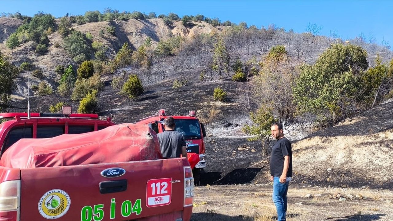 Amasya'daki Orman Yangını Kısa Sürede Kontrol Altına Alındı