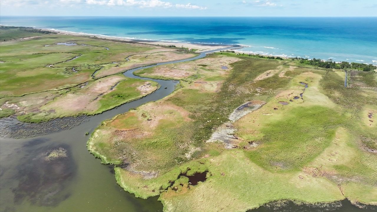 Amazon Tabiat Parkı'ndan Görüntüler: Terme'nin Doğal Cenneti