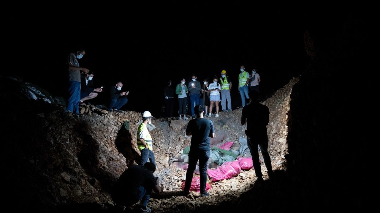 Ankara'da Barınak Yakınında 11 Köpek Ölü Bulundu