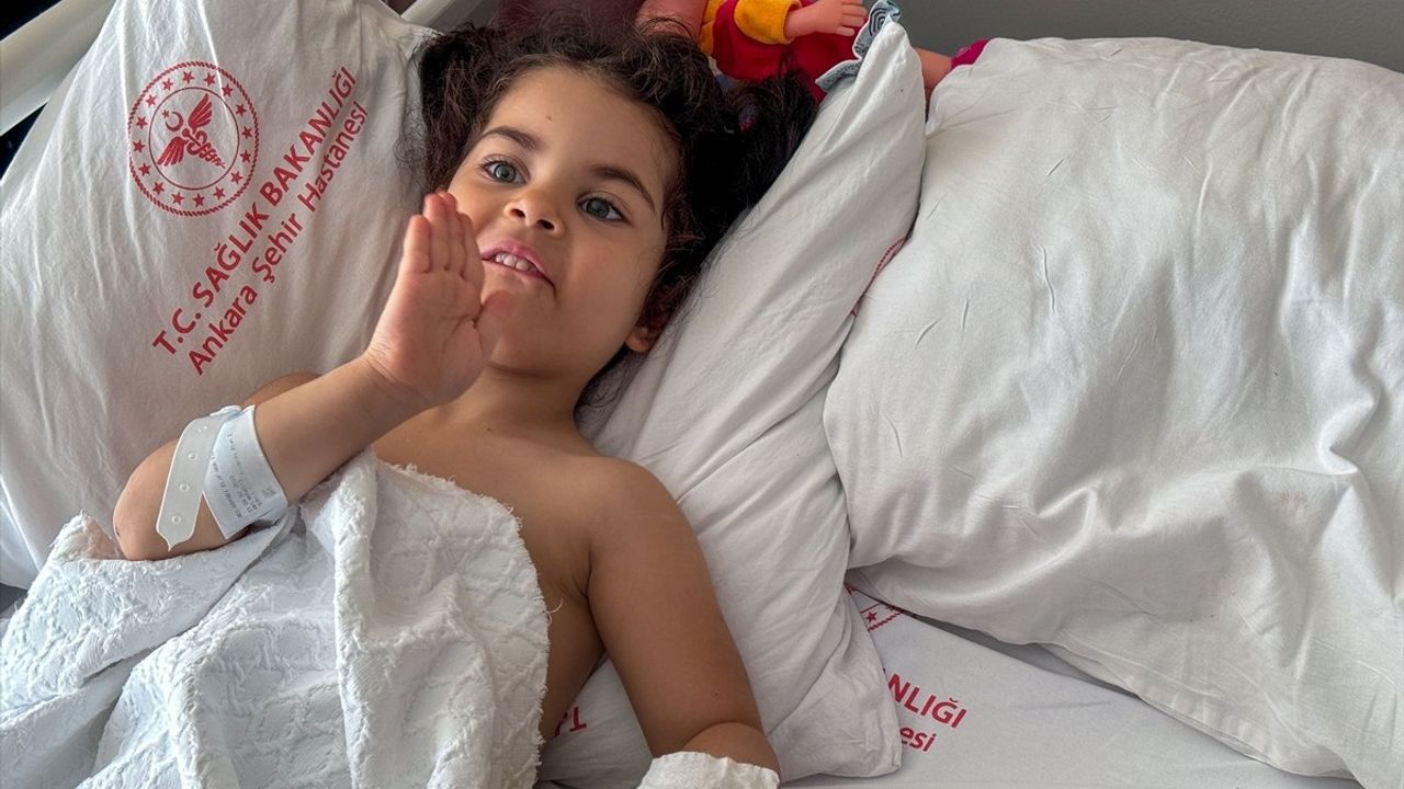 Ankara'da Sahipsiz Köpek Saldırısı: 5 Yaşındaki Elif Ada Yaralandı