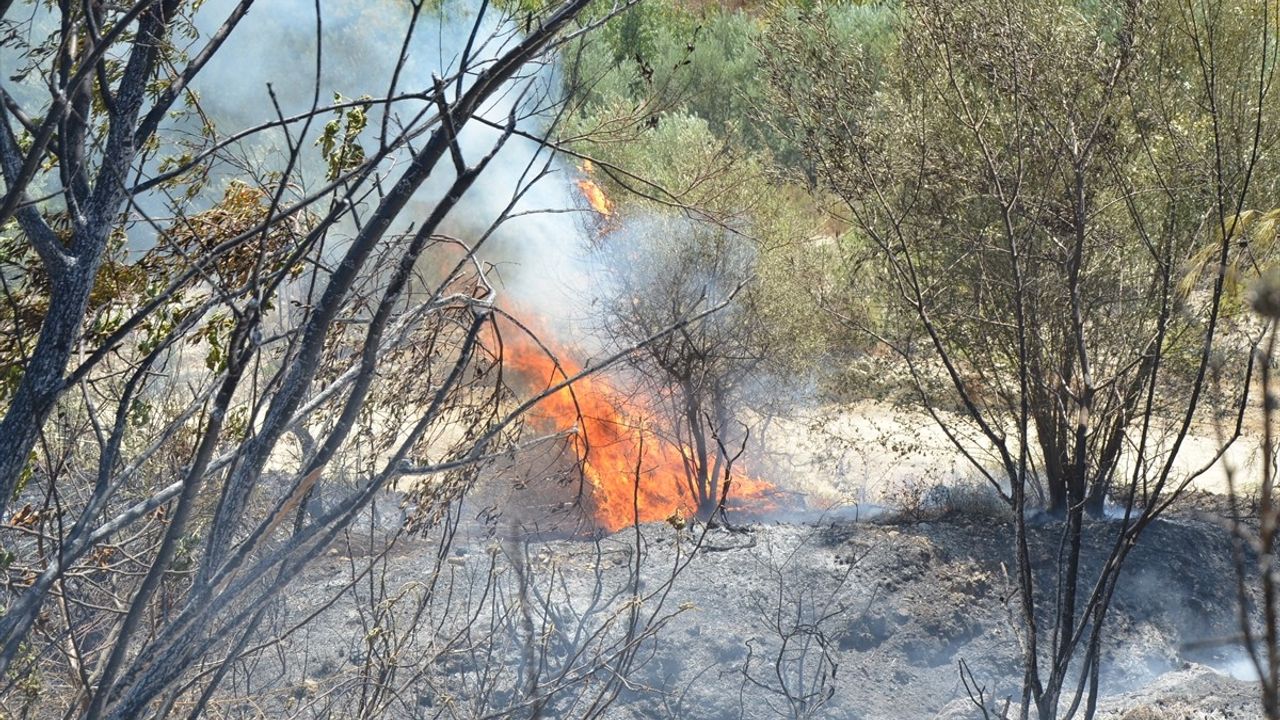 Antalya'da Yangın Kontrol Altına Alındı
