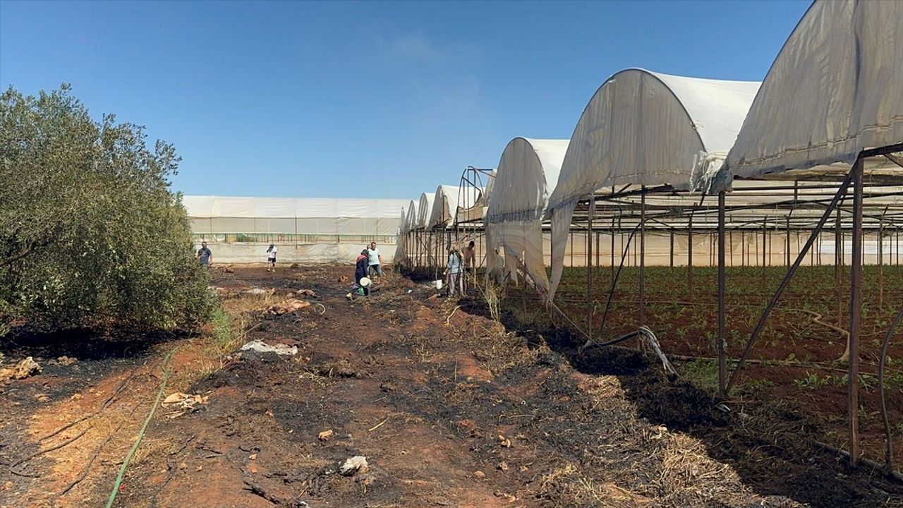 Antalya'daki Çalılık Yangını Kontrol Altında
