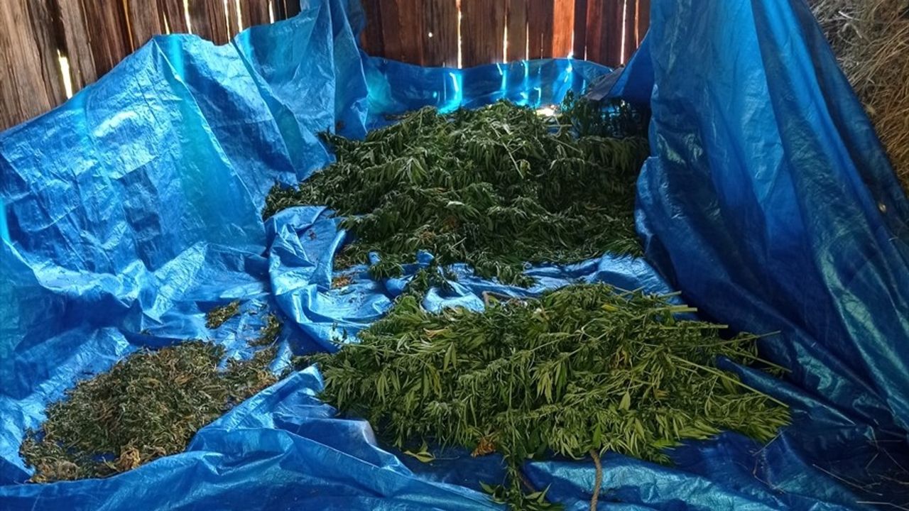 Artvin'de Uyuşturucu Operasyonu: Baba ve Oğul Tutuklandı