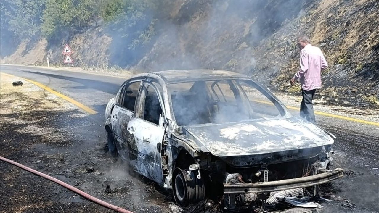 Aydın'da Otomobil Yangını Ormana Sıçradı