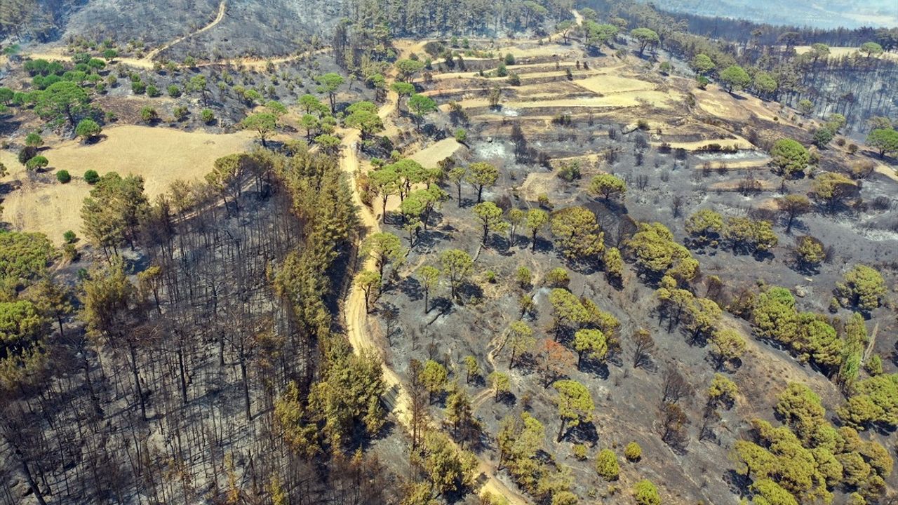 Aydın'daki Orman Yangını Havadan Görüntülendi