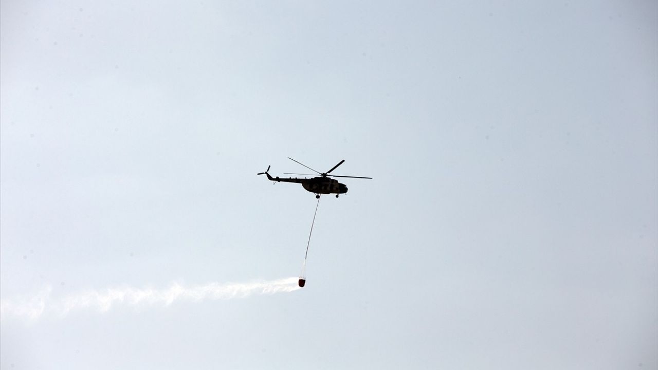 Aydın'daki Yangın Sonrası Havadan Görüntüleme