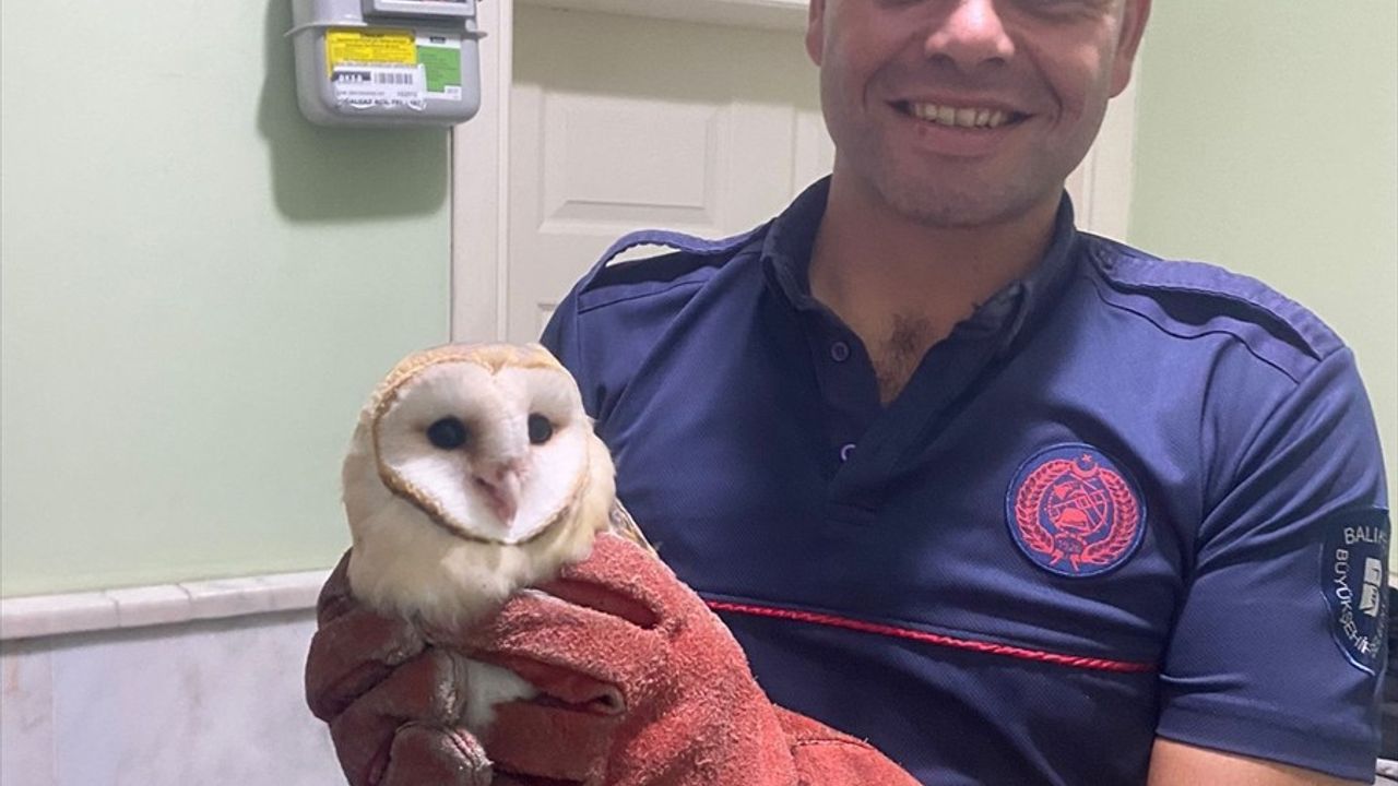 Balıkesir'de Havalandırma Boşluğundaki Baykuş Kurtarıldı