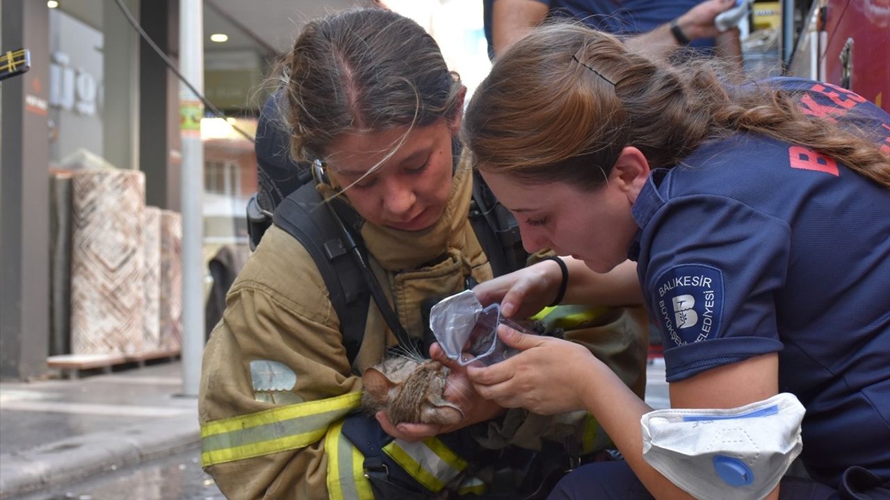 Balıkesir'de Yangında Hayata Dönen Kedi