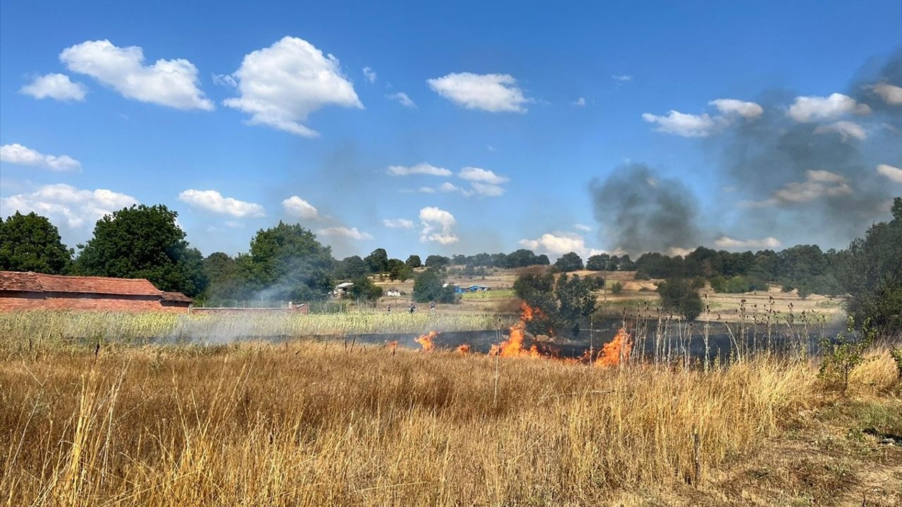 Bilecik'te Otluk Alan Yangını Kontrol Altına Alındı