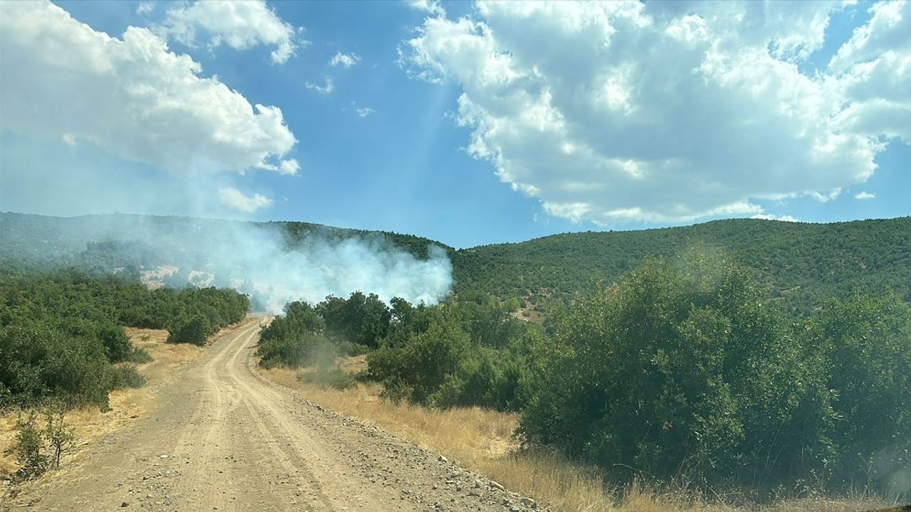 Bingöl'ün Genç İlçesinde Yangın Kontrol Altına Alındı