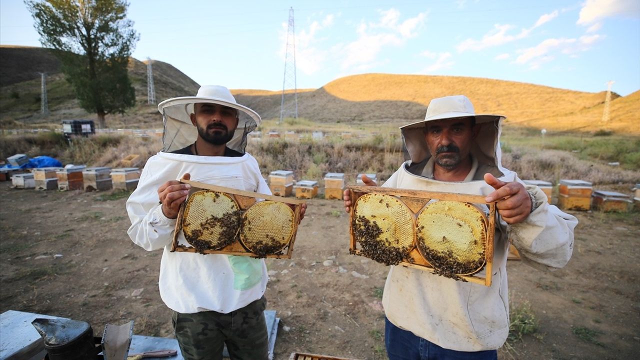 Bingöllü Arıcı Aile, Londra'da Altın Madalya Kazandı