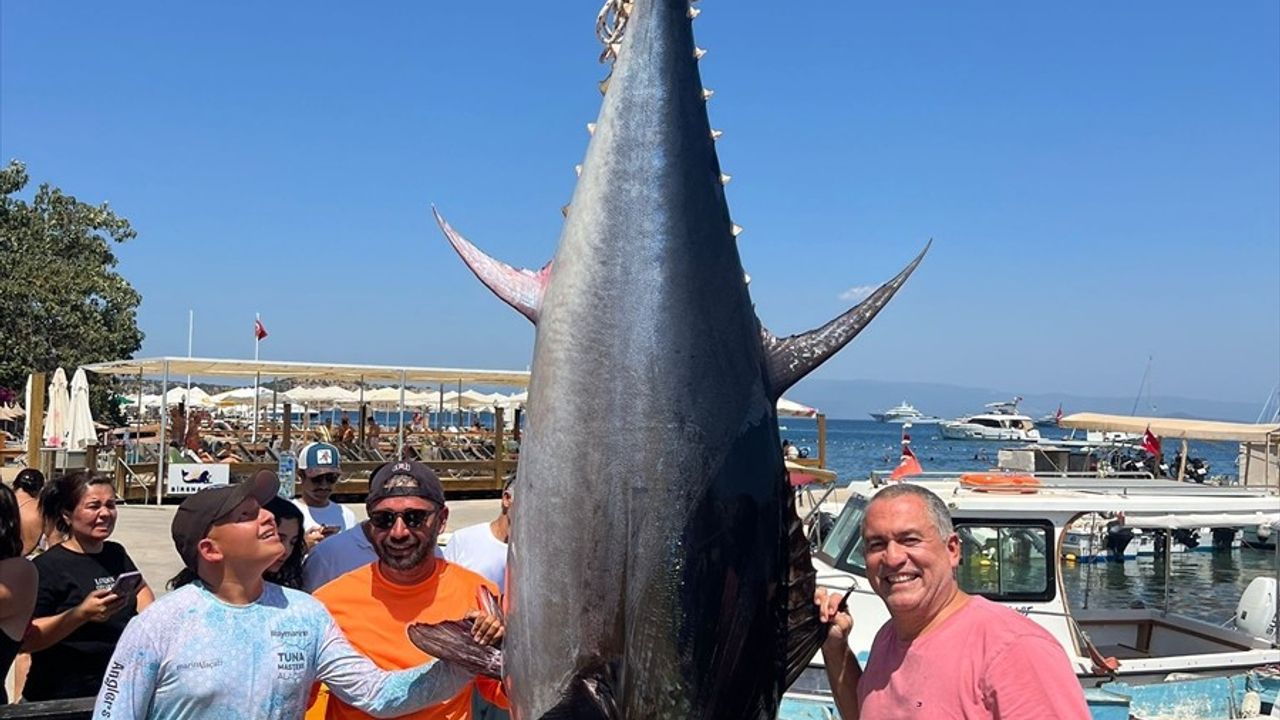 Bodrum'da Amatör Balıkçılar 2,5 Metrelik Orkinos Yakaladı