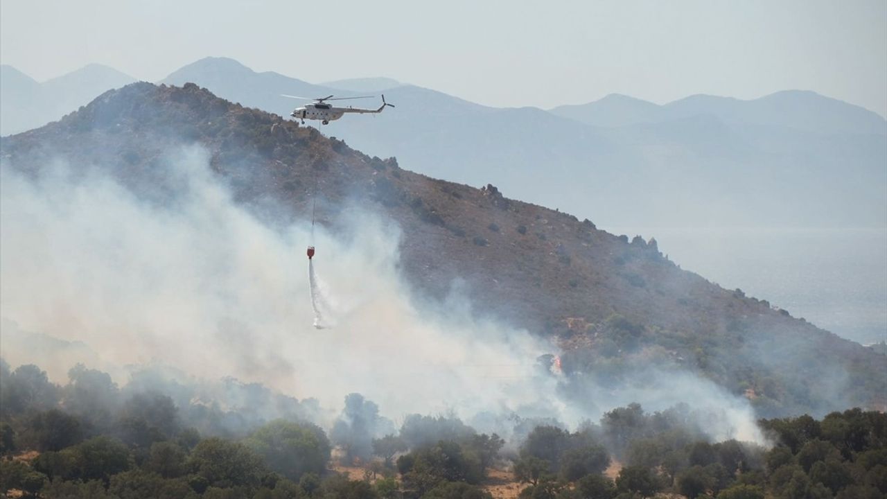 Bodrum'da Zeytinlikte Yangına Müdahale Devam Ediyor