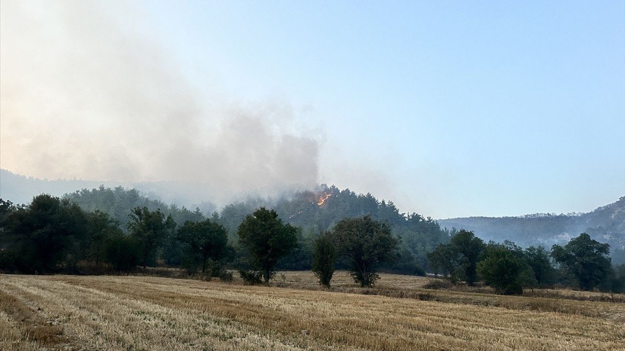 Bolu'daki Orman Yangınına Gönüllü Destek