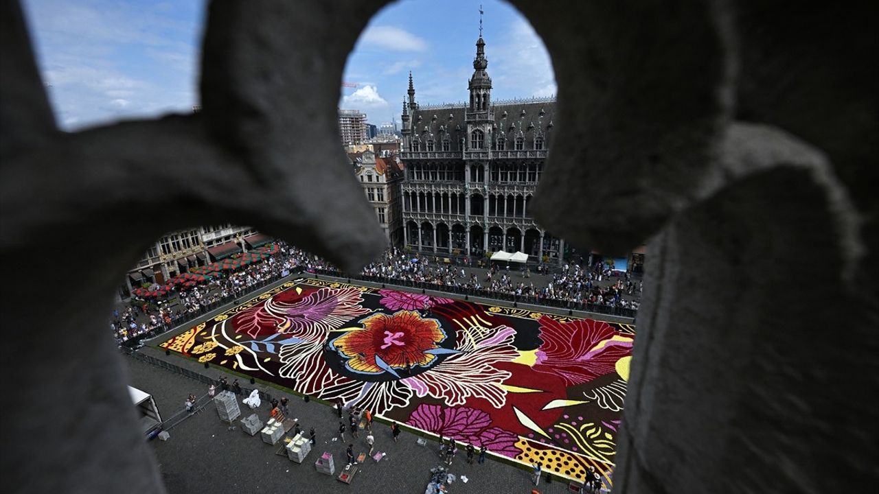 Brüksel'in Grand Place Meydanı'nda Çiçek Halısı