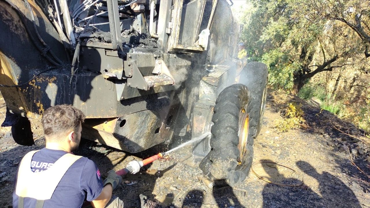 Bursa'da Zeytinlikteki Yangın Kontrol Altına Alındı