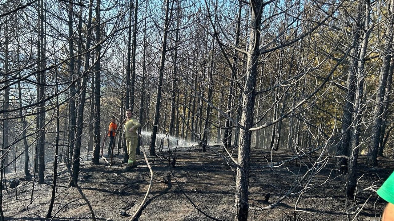 Bursa Orhaneli'nde Orman Yangını Kontrol Altına Alındı