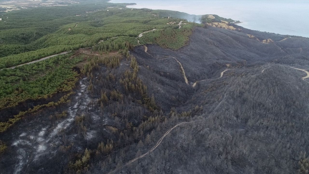Çanakkale'deki Orman Yangını Havadan Görüntülendi