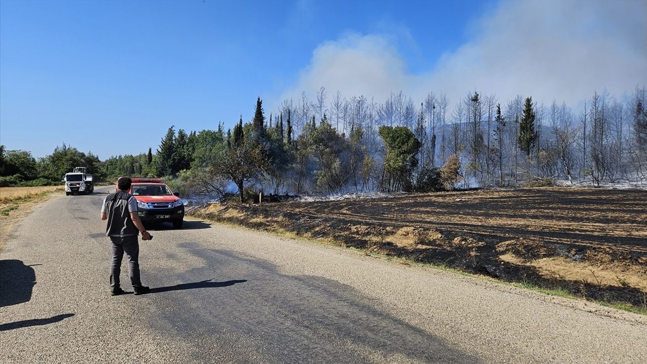 Çanakkale'deki Orman Yangınına Müdahale Devam Ediyor