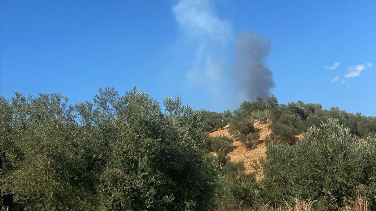 Çanakkale'nin Ayvacık İlçesindeki Orman Yangını Kontrol Altına Alındı