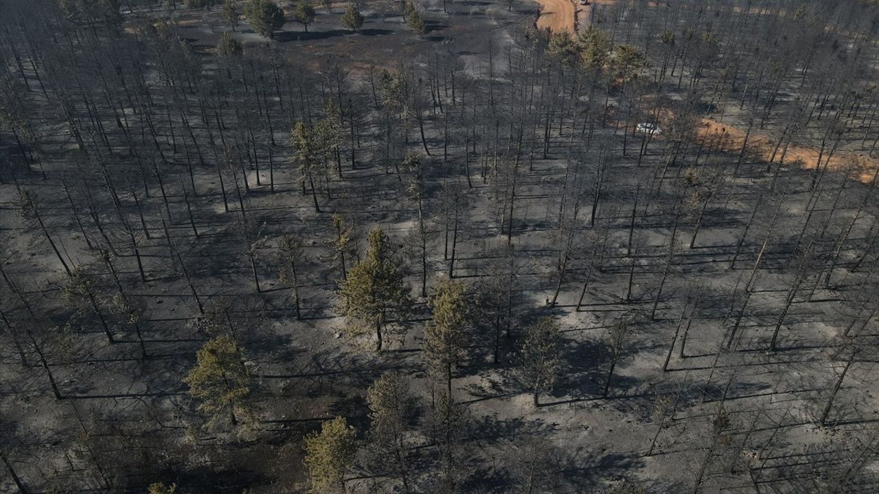 Çankırı'da Orman Yangını Kontrol Altına Alındı
